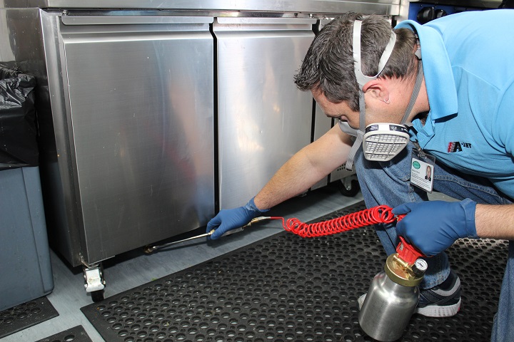 What Is Pest Control