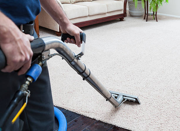 Cleaning carpets to get rid of fleas